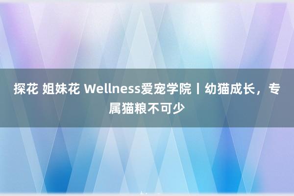 探花 姐妹花 Wellness爱宠学院丨幼猫成长，专属猫粮不可少