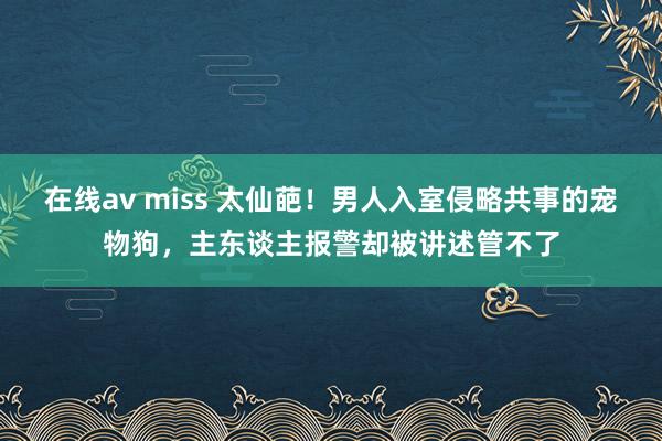 在线av miss 太仙葩！男人入室侵略共事的宠物狗，主东谈主报警却被讲述管不了