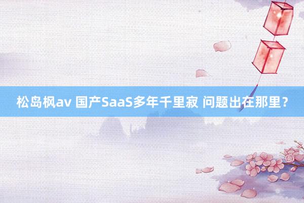 松岛枫av 国产SaaS多年千里寂 问题出在那里？