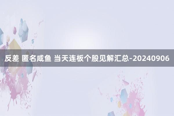 反差 匿名咸鱼 当天连板个股见解汇总-20240906