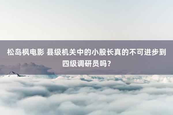 松岛枫电影 县级机关中的小股长真的不可进步到四级调研员吗？