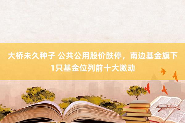 大桥未久种子 公共公用股价跌停，南边基金旗下1只基金位列前十大激动