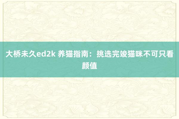 大桥未久ed2k 养猫指南：挑选完竣猫咪不可只看颜值