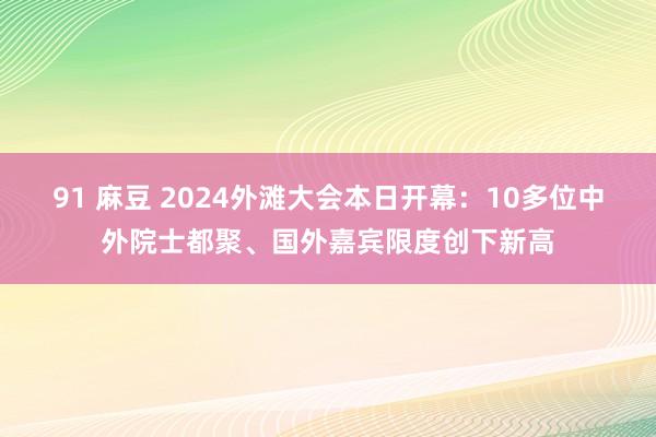 91 麻豆 2024外滩大会本日开幕：10多位中外院士都聚、国外嘉宾限度创下新高