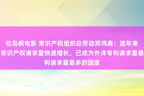 松岛枫电影 常识产权组织总劳动邓鸿森：连年来，中国的常识产权请求量快速增长，已成为外洋专利请求量最多的国度