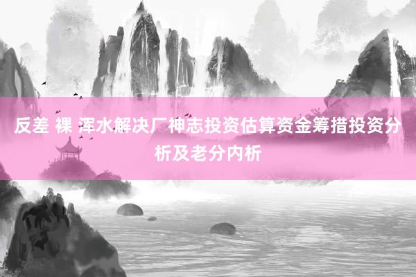 反差 裸 浑水解决厂神志投资估算资金筹措投资分析及老分内析