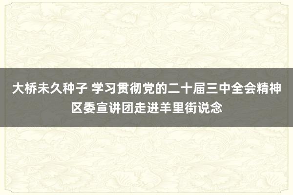 大桥未久种子 学习贯彻党的二十届三中全会精神区委宣讲团走进羊里街说念