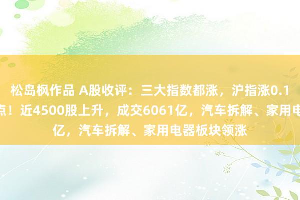 松岛枫作品 A股收评：三大指数都涨，沪指涨0.14%报2890点！近4500股上升，成交6061亿，汽车拆解、家用电器板块领涨