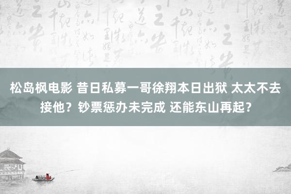 松岛枫电影 昔日私募一哥徐翔本日出狱 太太不去接他？钞票惩办未完成 还能东山再起？