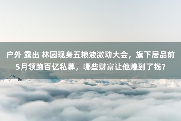 户外 露出 林园现身五粮液激动大会，旗下居品前5月领跑百亿私募，哪些财富让他赚到了钱？