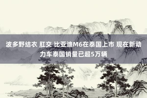 波多野结衣 肛交 比亚迪M6在泰国上市 现在新动力车泰国销量已超5万辆