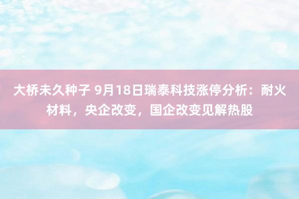 大桥未久种子 9月18日瑞泰科技涨停分析：耐火材料，央企改变，国企改变见解热股