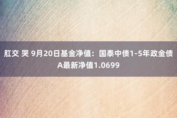 肛交 哭 9月20日基金净值：国泰中债1-5年政金债A最新净值1.0699