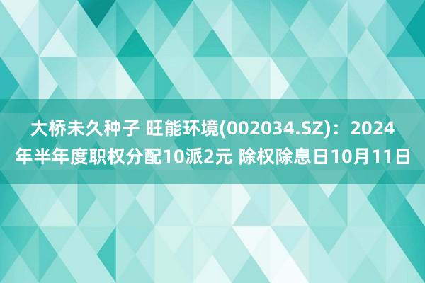 大桥未久种子 旺能环境(002034.SZ)：2024年半年度职权分配10派2元 除权除息日10月11日