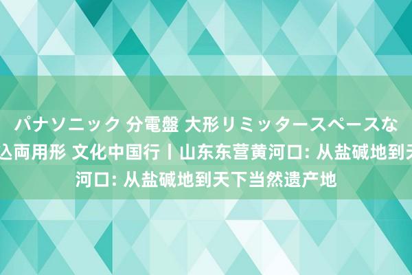 パナソニック 分電盤 大形リミッタースペースなし 露出・半埋込両用形 文化中国行丨山东东营黄河口: 从盐碱地到天下当然遗产地