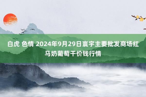 白虎 色情 2024年9月29日寰宇主要批发商场红马奶葡萄干价钱行情