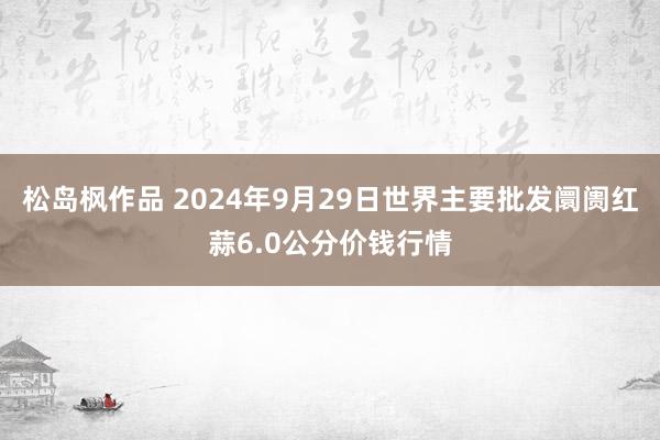 松岛枫作品 2024年9月29日世界主要批发阛阓红蒜6.0公分价钱行情