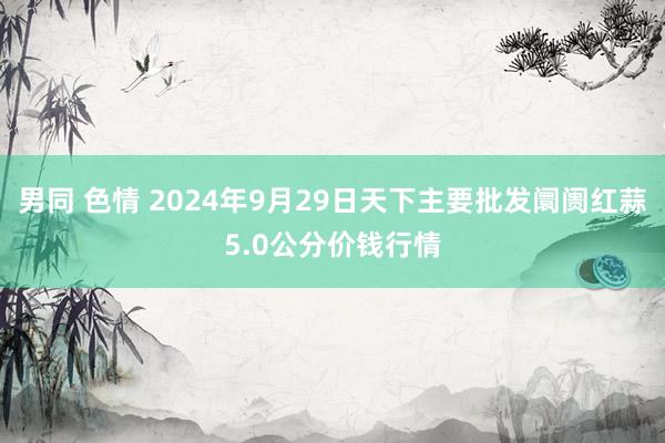 男同 色情 2024年9月29日天下主要批发阛阓红蒜5.0公分价钱行情