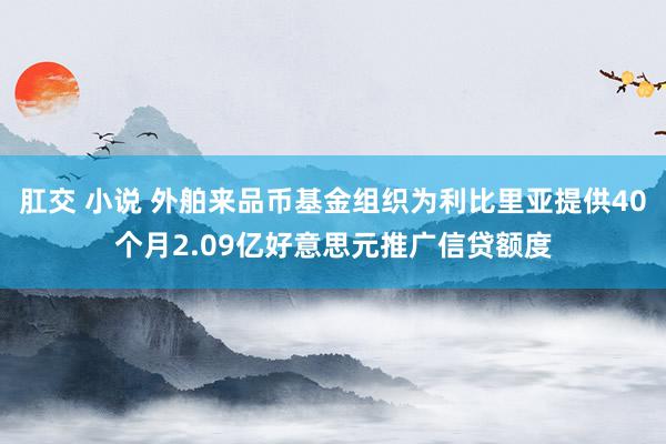 肛交 小说 外舶来品币基金组织为利比里亚提供40个月2.09亿好意思元推广信贷额度