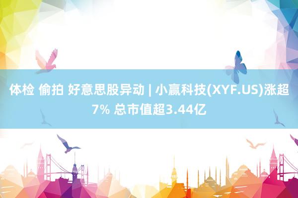 体检 偷拍 好意思股异动 | 小赢科技(XYF.US)涨超7% 总市值超3.44亿