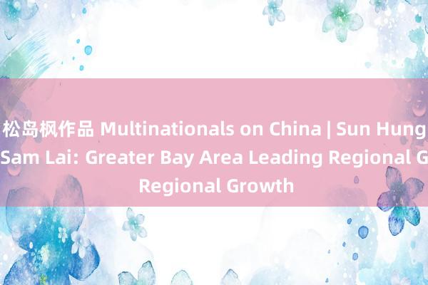 松岛枫作品 Multinationals on China | Sun Hung Kai’s Sam Lai: Greater Bay Area Leading Regional Growth