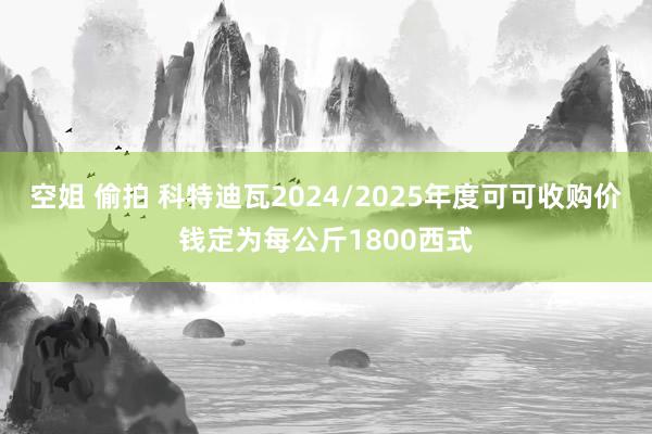 空姐 偷拍 科特迪瓦2024/2025年度可可收购价钱定为每公斤1800西式