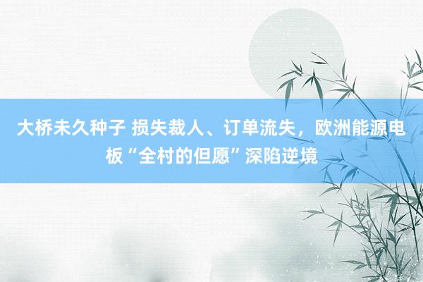 大桥未久种子 损失裁人、订单流失，欧洲能源电板“全村的但愿”深陷逆境