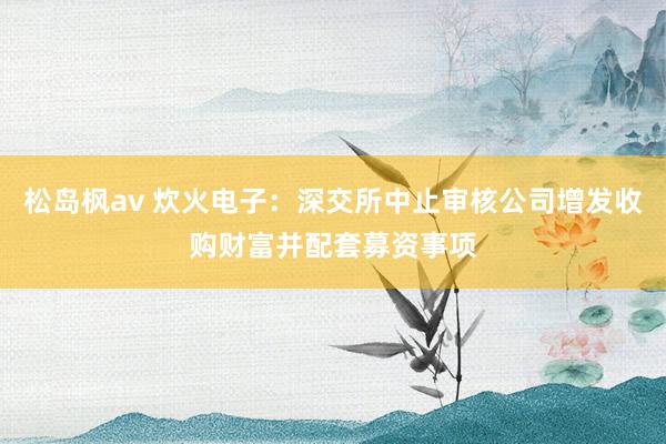 松岛枫av 炊火电子：深交所中止审核公司增发收购财富并配套募资事项