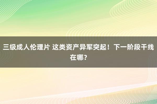 三级成人伦理片 这类资产异军突起！下一阶段干线在哪？