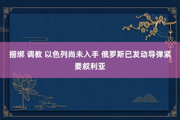 捆绑 调教 以色列尚未入手 俄罗斯已发动导弹紧要叙利亚