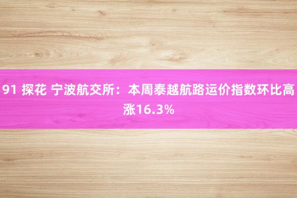 91 探花 宁波航交所：本周泰越航路运价指数环比高涨16.3%