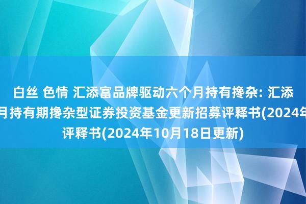 白丝 色情 汇添富品牌驱动六个月持有搀杂: 汇添富品牌驱动六个月持有期搀杂型证券投资基金更新招募评释书(2024年10月18日更新)