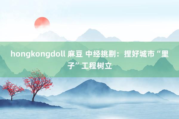 hongkongdoll 麻豆 中经挑剔：捏好城市“里子”工程树立