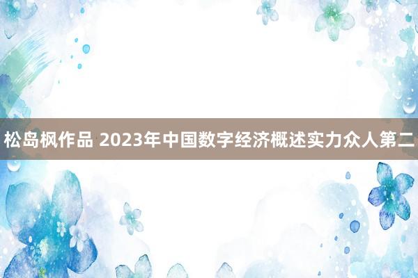 松岛枫作品 2023年中国数字经济概述实力众人第二