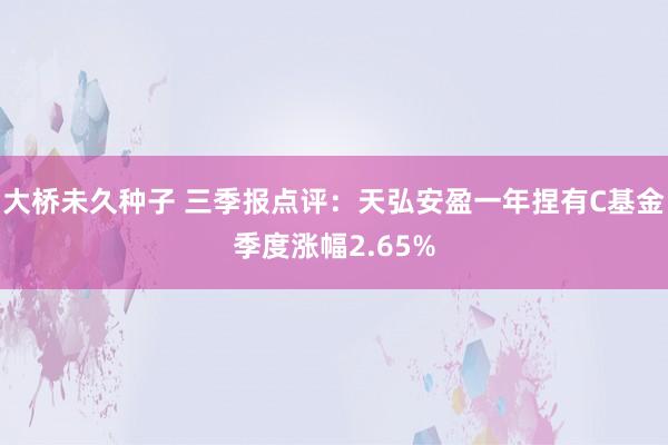 大桥未久种子 三季报点评：天弘安盈一年捏有C基金季度涨幅2.65%