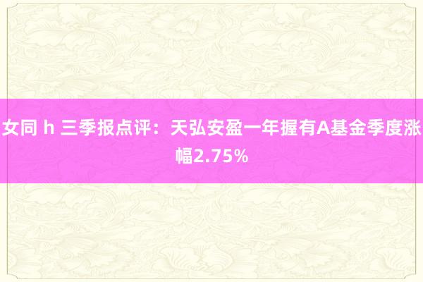 女同 h 三季报点评：天弘安盈一年握有A基金季度涨幅2.75%