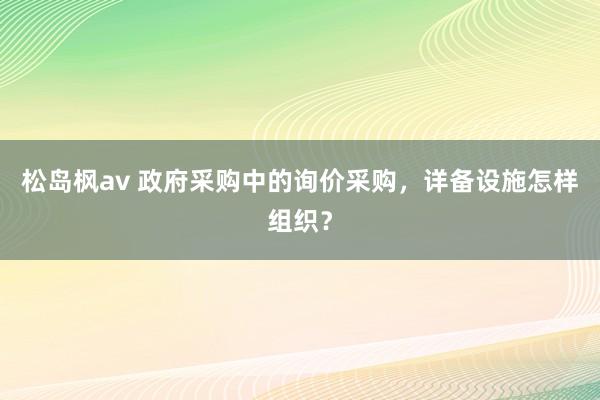 松岛枫av 政府采购中的询价采购，详备设施怎样组织？