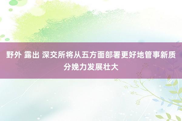 野外 露出 深交所将从五方面部署更好地管事新质分娩力发展壮大