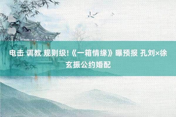 电击 调教 规则级!《一箱情缘》曝预报 孔刘×徐玄振公约婚配