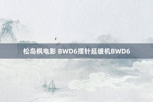 松岛枫电影 BWD6摆针延缓机BWD6