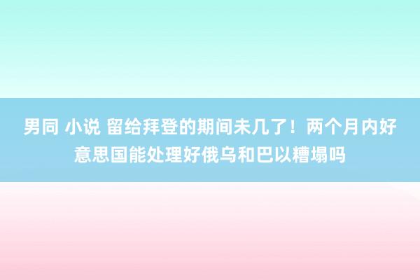 男同 小说 留给拜登的期间未几了！两个月内好意思国能处理好俄乌和巴以糟塌吗