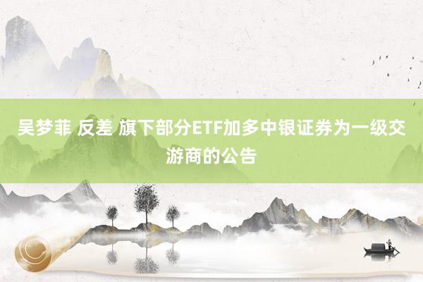 吴梦菲 反差 旗下部分ETF加多中银证券为一级交游商的公告