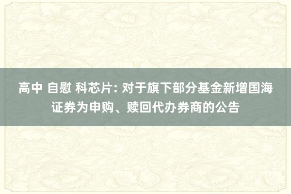 高中 自慰 科芯片: 对于旗下部分基金新增国海证券为申购、赎回代办券商的公告