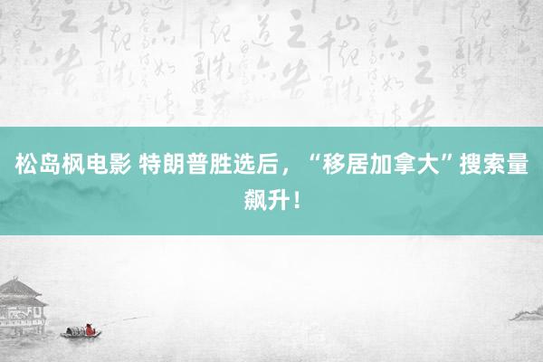 松岛枫电影 特朗普胜选后，“移居加拿大”搜索量飙升！