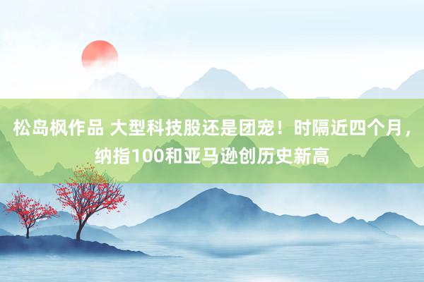 松岛枫作品 大型科技股还是团宠！时隔近四个月，纳指100和亚马逊创历史新高