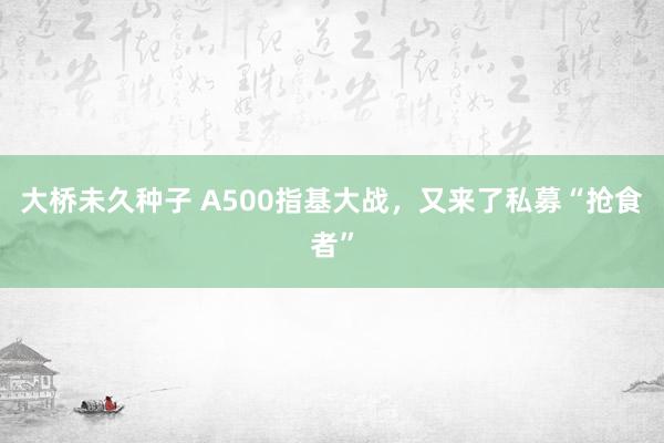 大桥未久种子 A500指基大战，又来了私募“抢食者”