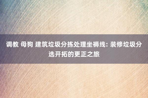 调教 母狗 建筑垃圾分拣处理坐褥线: 装修垃圾分选开拓的更正之旅