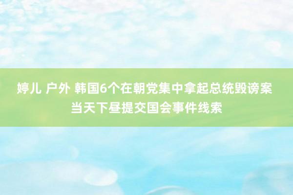 婷儿 户外 韩国6个在朝党集中拿起总统毁谤案 当天下昼提交国会事件线索