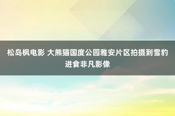 松岛枫电影 大熊猫国度公园雅安片区拍摄到雪豹进食非凡影像