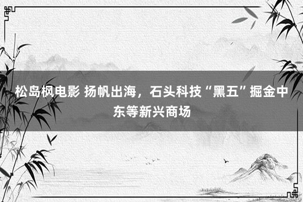 松岛枫电影 扬帆出海，石头科技“黑五”掘金中东等新兴商场